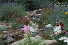 Rocky Mountain Waterscape project photograph