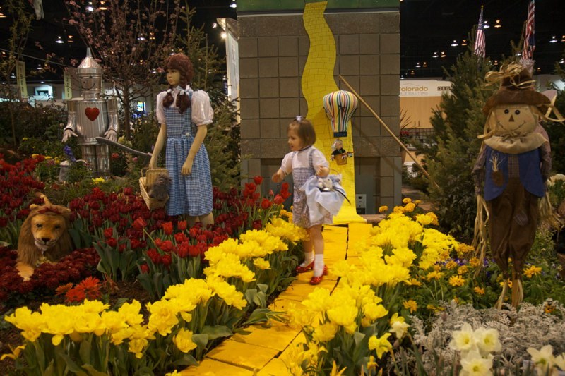 A little Dorothy on the Yellow Brick Road