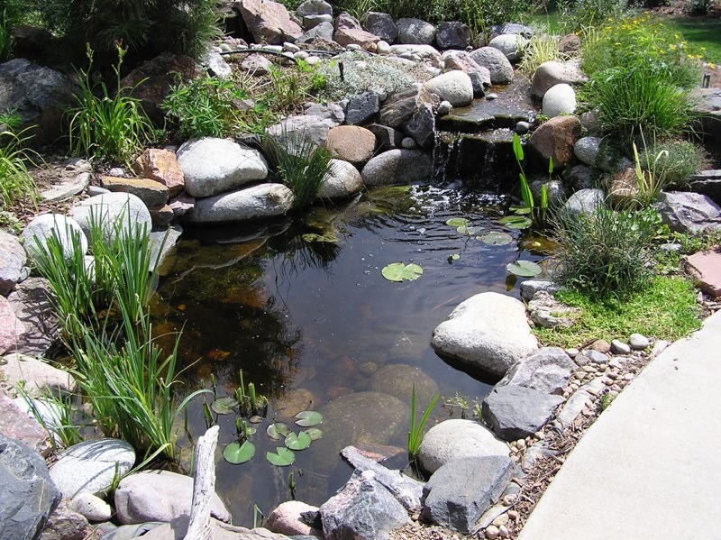 Arvada Pond - After