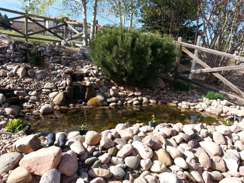 Westminster Pondless - Before