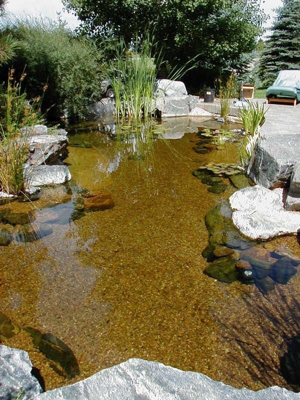 Greenwood Village Pond - Before