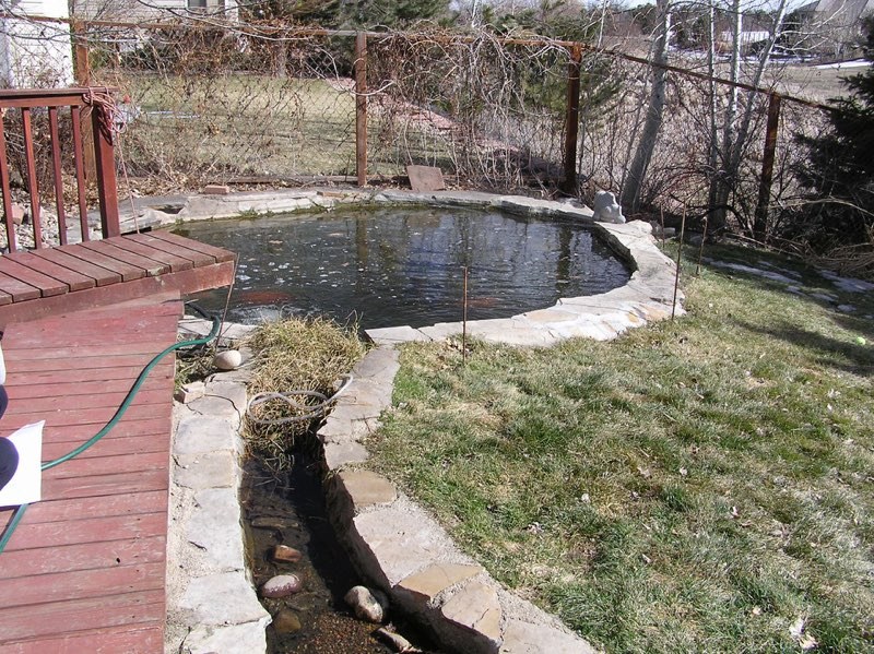 Arvada Pond - Before
