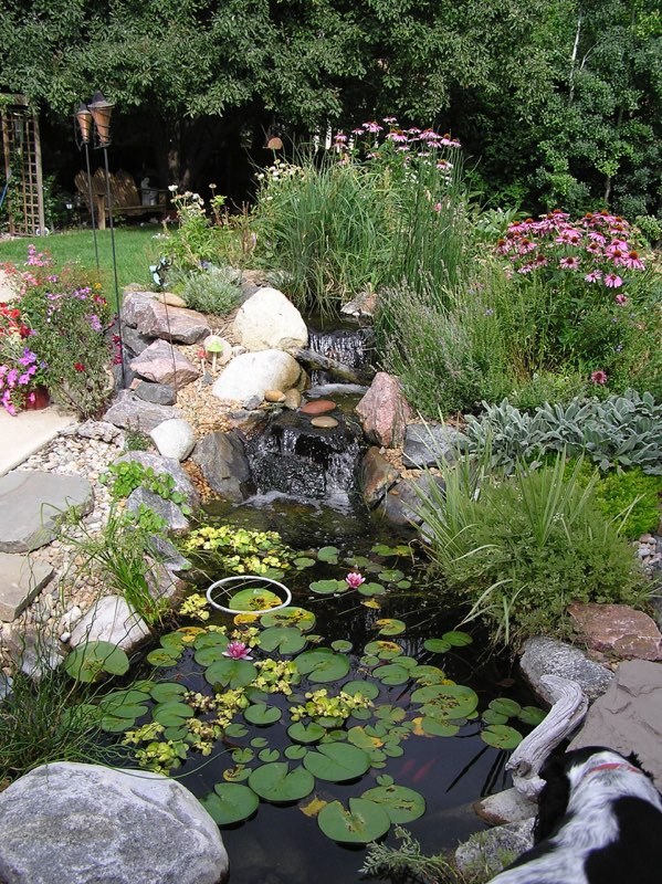 Boulder Pond - After