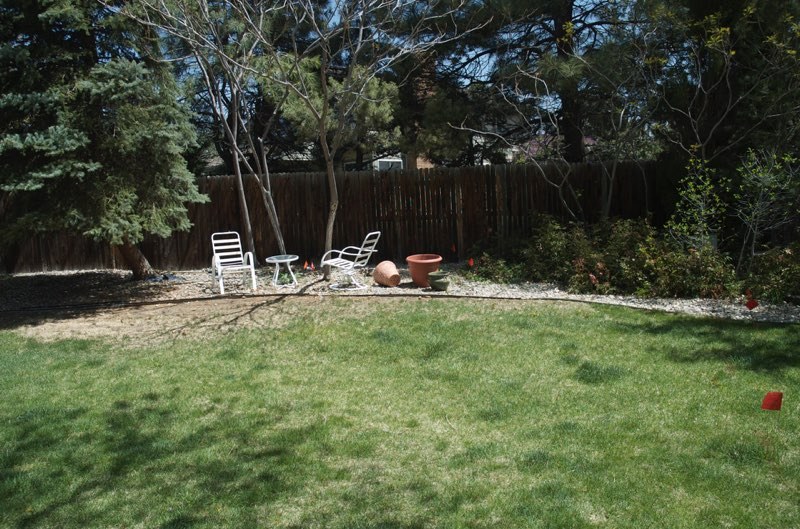 Arvada Yard - Before