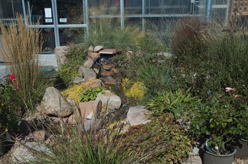 Echter’s Pondless - Before