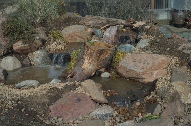Echter’s Pondless - After