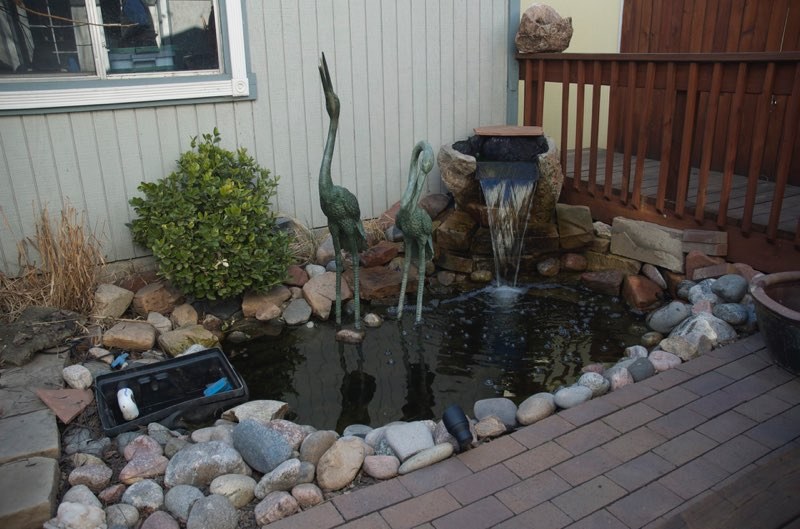 Denver Pond - Before