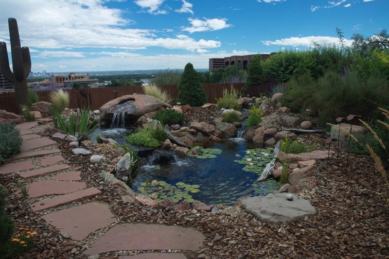 Lakewood Pond - After