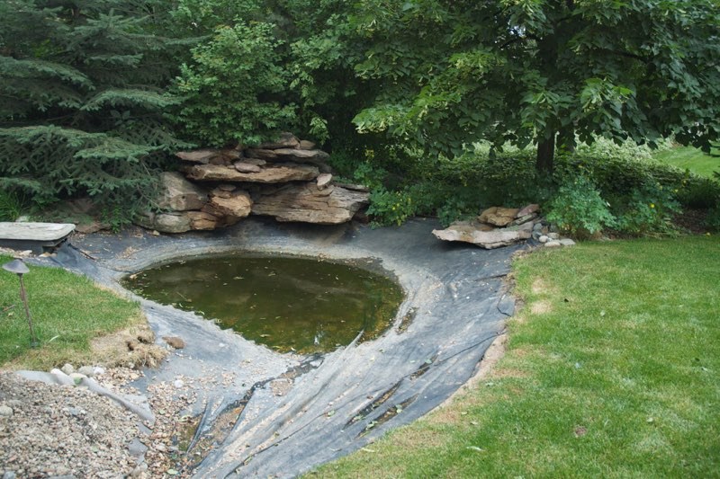 Denver Pond  -Before