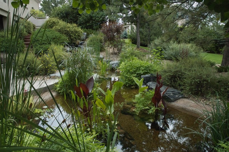 Greenwood Village Pond - After