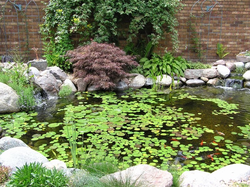 Denver Pond - After