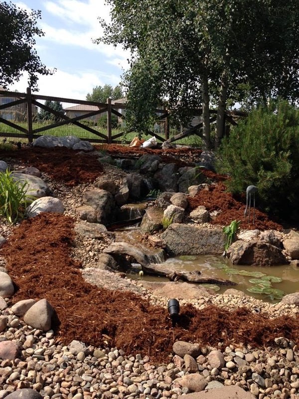 Westminster pondless - After