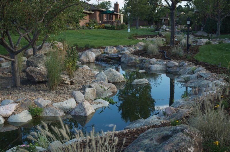 Denver 1/2 mile of Stream - After