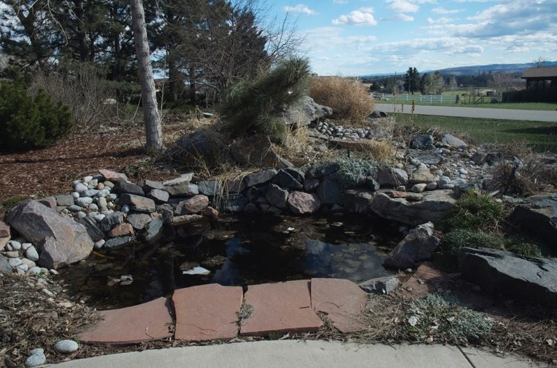 Arvada Pond - Before