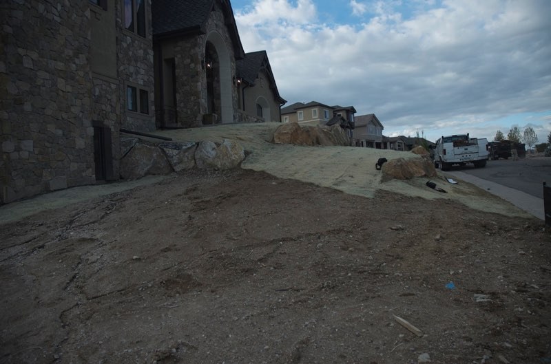 Castle Pines Yard - Before