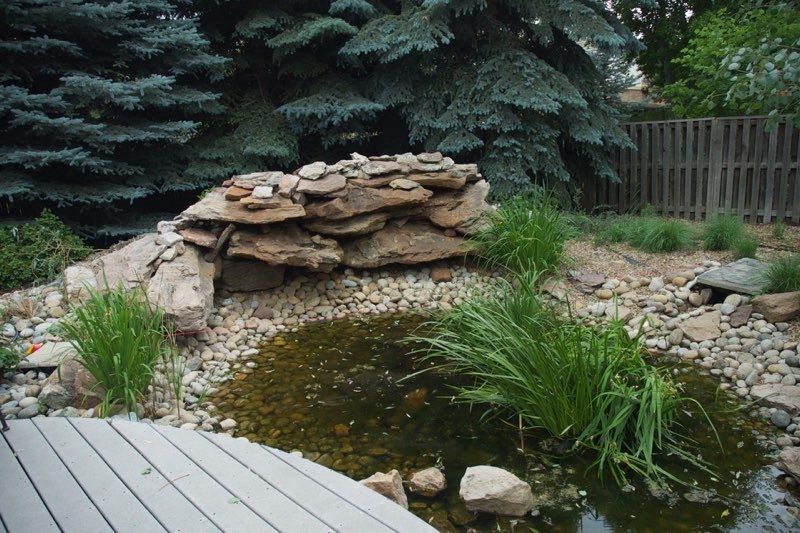 Denver Pond - Before