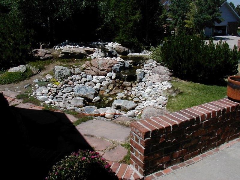Lakewood Pond - Before