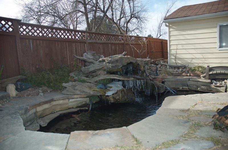 Longmont Pond - Before