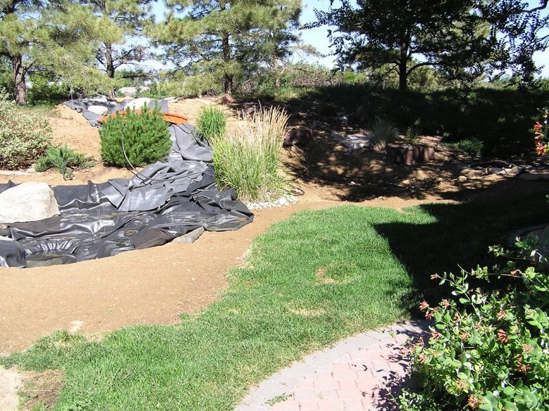 Greenwood Village Yard - Before