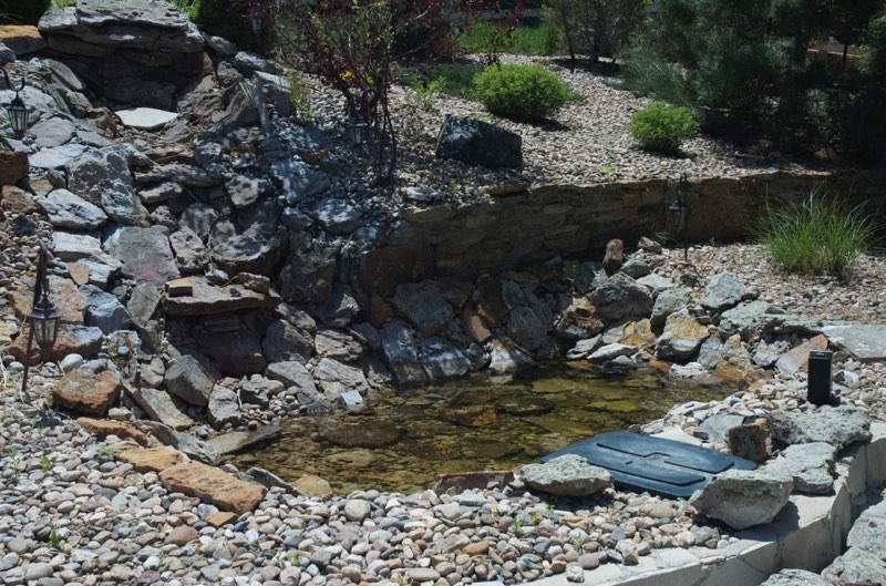 Parker Pond - Before