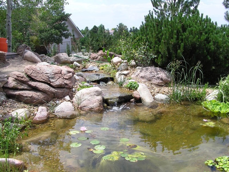 Lakewood Pond - After