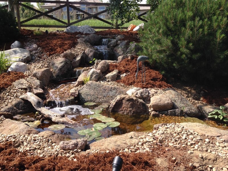 Westminster pondless - After