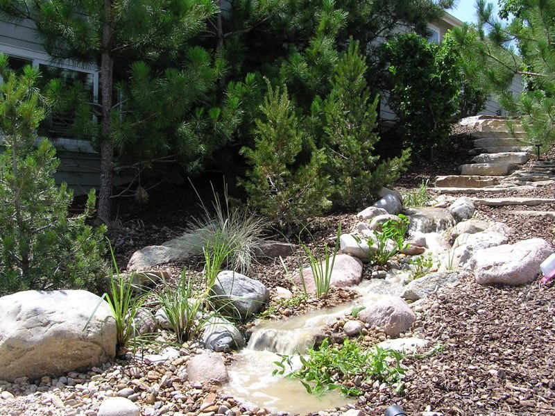 Castle Rock Pondless - After
