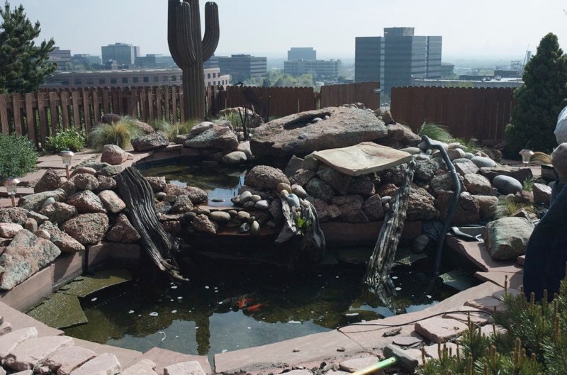 Lakewood Pond - Before