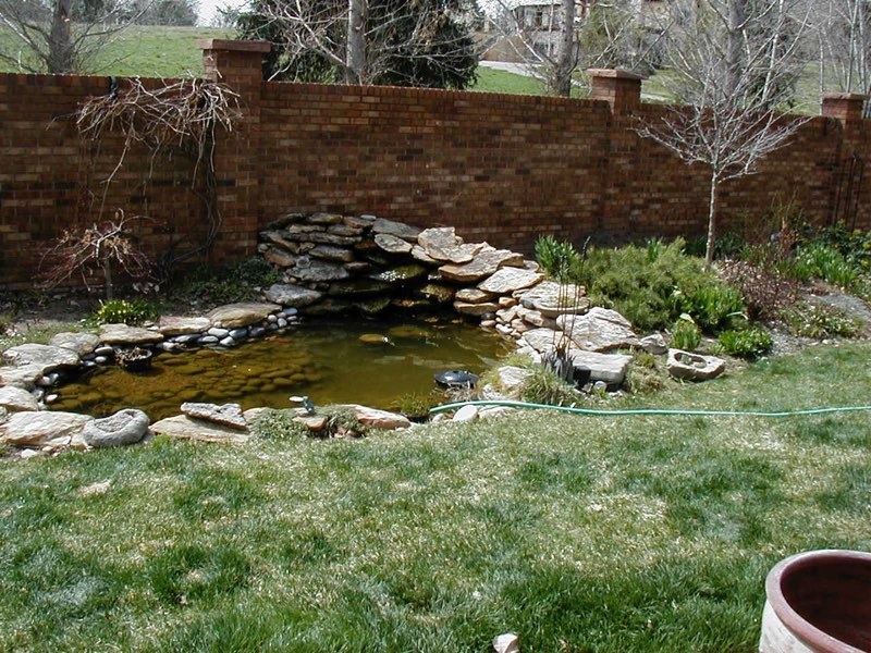 Denver  Pond - Before