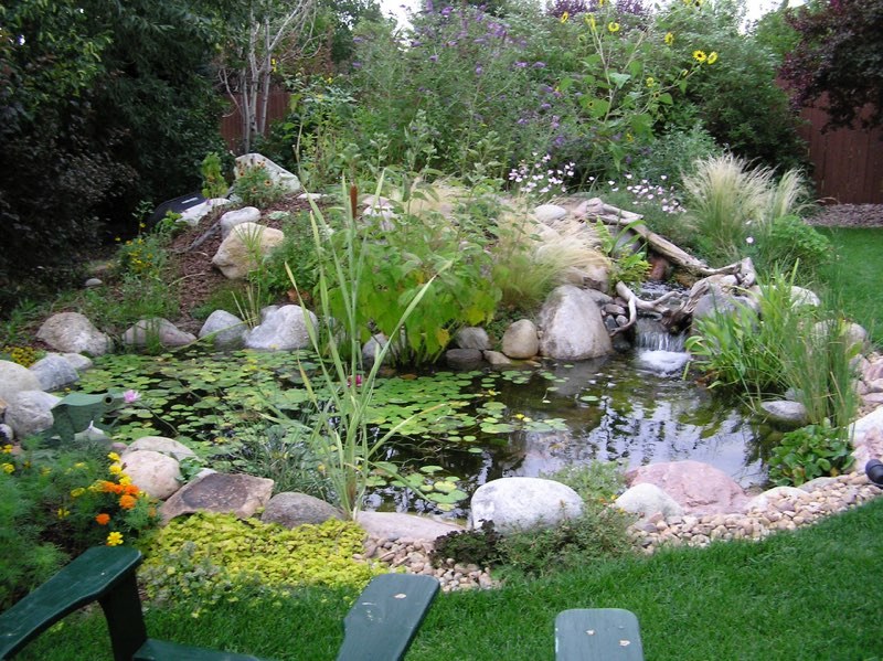 Westminster Pond - 3 Years Later