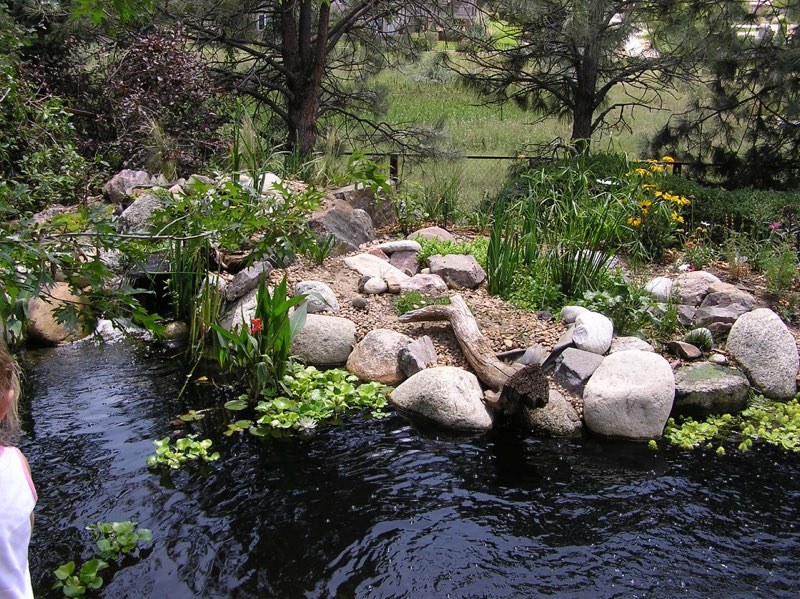 Arvada Pond - After
