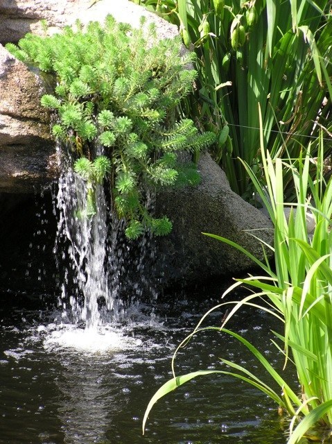 Spouting Rock Spilling into a Pond