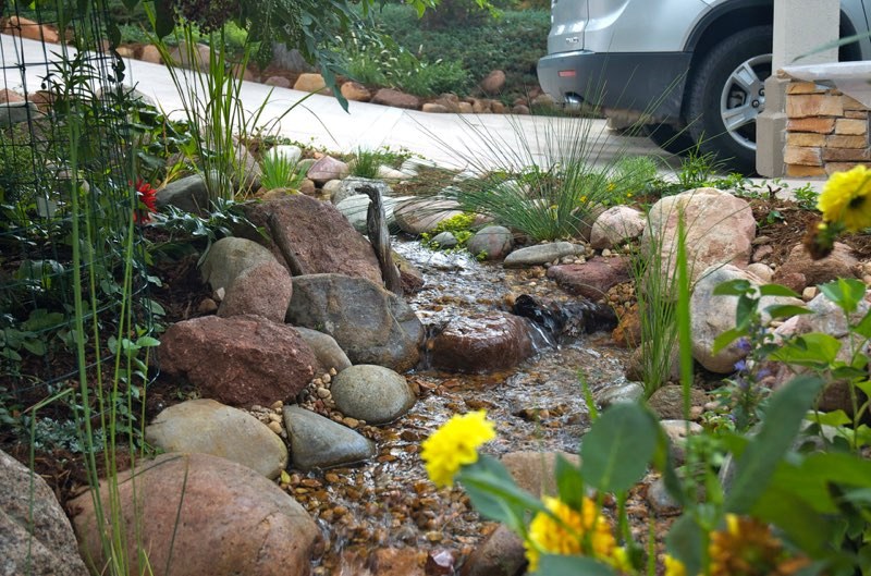 Stream and Ecosystem Pond