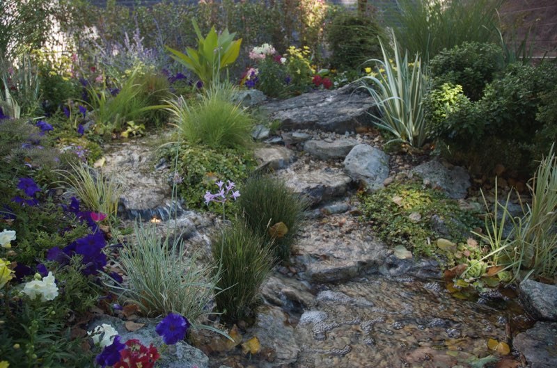 9News Water Wise Garden