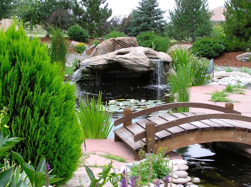 Ecosystem Ponds, Waterfalls, Streams, Wetlands, and Bogs