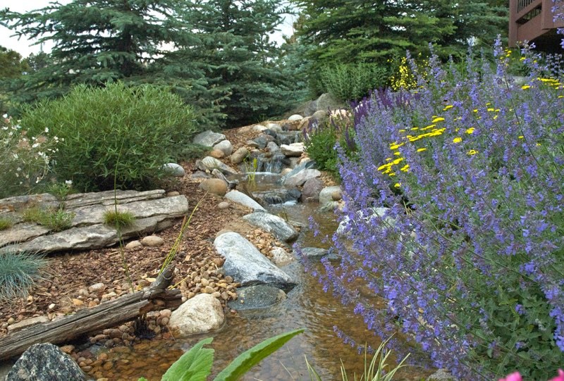 Genesee Pondless