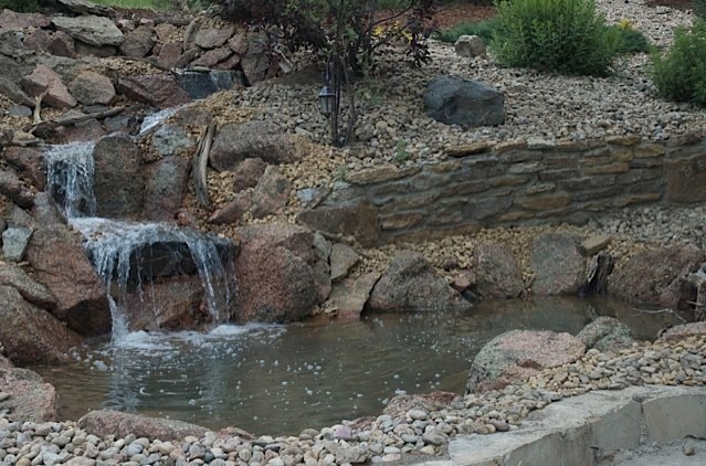The homeowners took an ordinary backyard with an extreme slope and turned it into a beautiful landscape with this pond and stream running through their retaining wall. — Parker, CO .