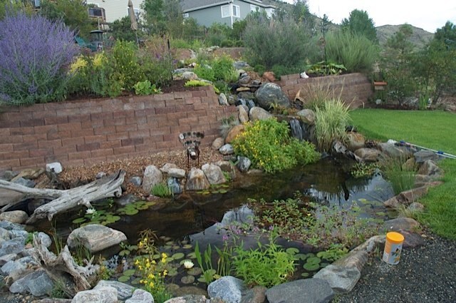 This stream meanders down a beautiful backyard for over 75 feet. The homeowners can sit in various places along the stream to enjoy pools and small ponds and it finally cascades in to a pond with turtles and fish. — at Golden, CO.
