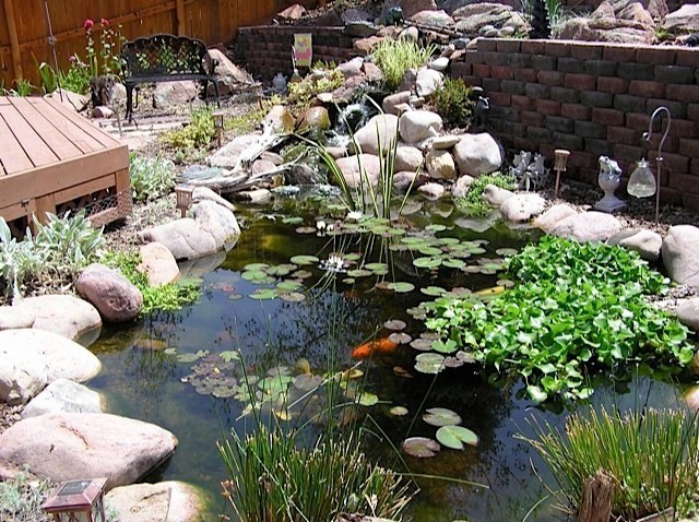 Located off the owner's deck, this waterfall cascades down a very steep hill, through the retaining wall and flows into a large pond filled with beautiful koi. — Arvada, CO