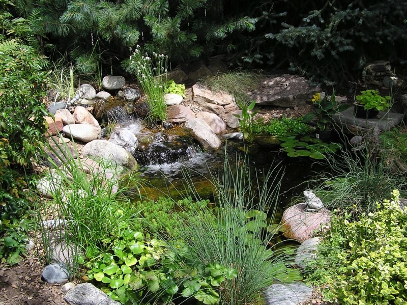 Denver Pond