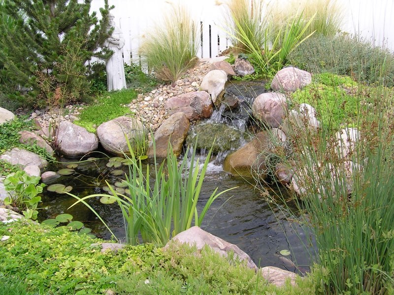 Longmont  Pond
