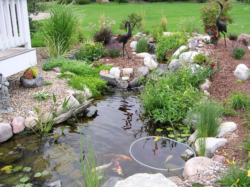 Longmont Pond with Stream, Waterfalls and Wetlands