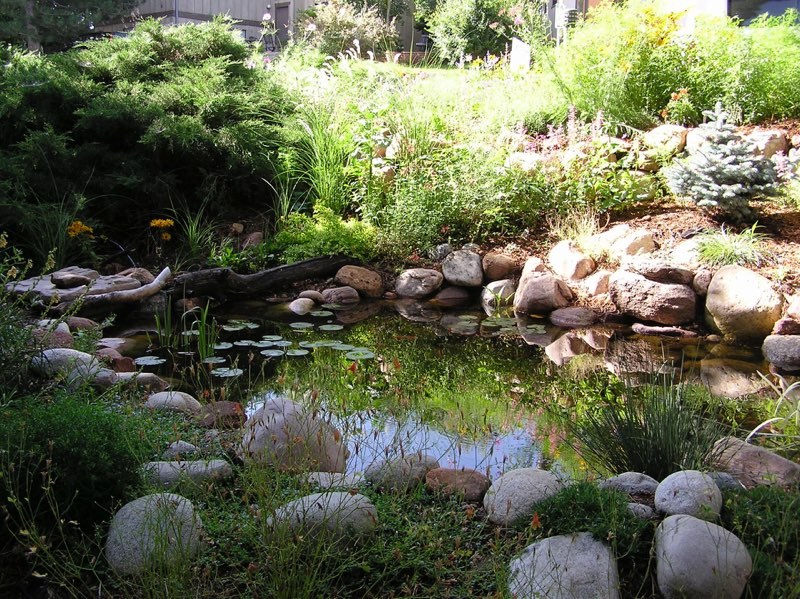 Erie Pondless