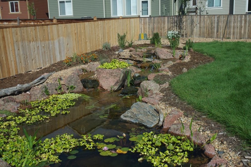 Commerce City Pond