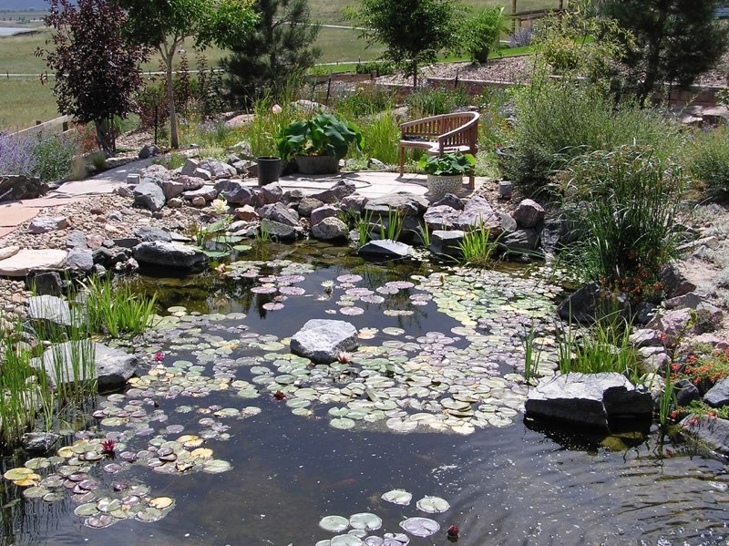 Denver Pond