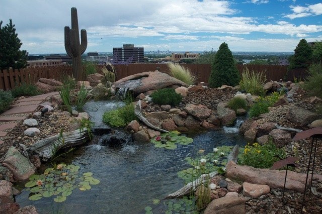 Lakewood Pond