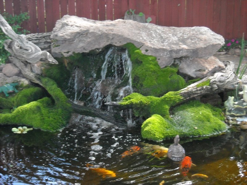 Longmont Pond with Spouting Rock