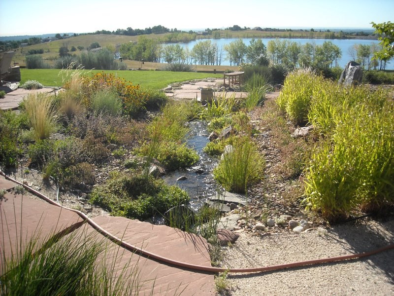 Arvada Stream Flowing into a Pond