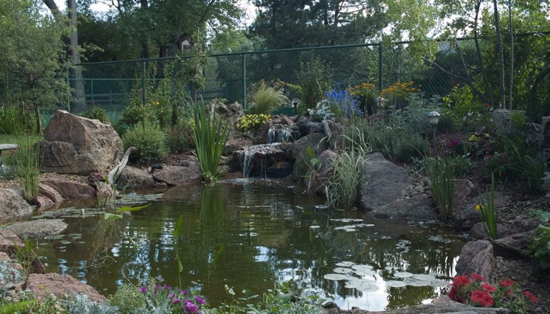 Englewood pond