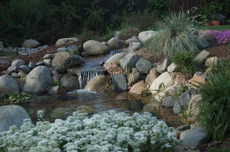 Littleton Pondless